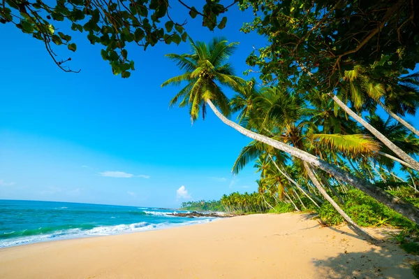 Praia tropical — Fotografia de Stock