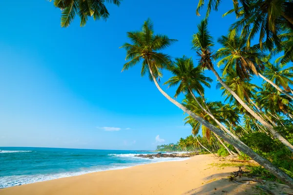 Spiaggia tropicale — Foto Stock