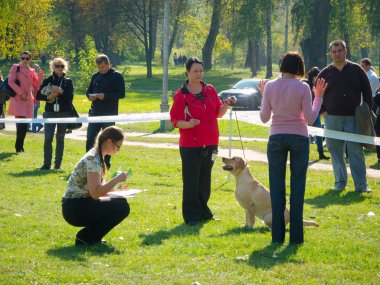 köpek göstermek