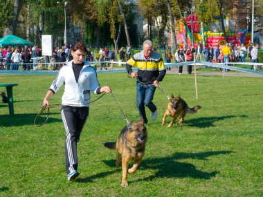 köpek göstermek