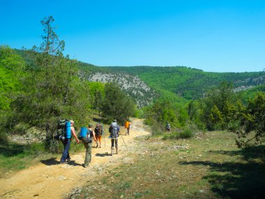 yol üzerindeki yürüyüşçü
