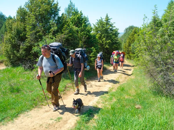 Escursionisti camminano su un sentiero — Foto Stock
