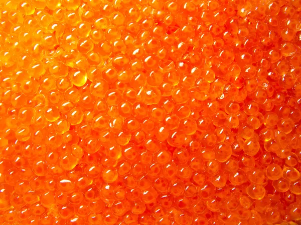 Red caviar — Stock Photo, Image