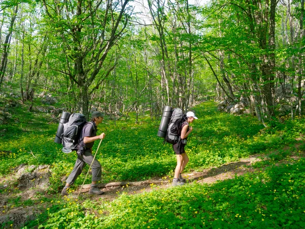 Caminhantes casal trekking — Fotografia de Stock