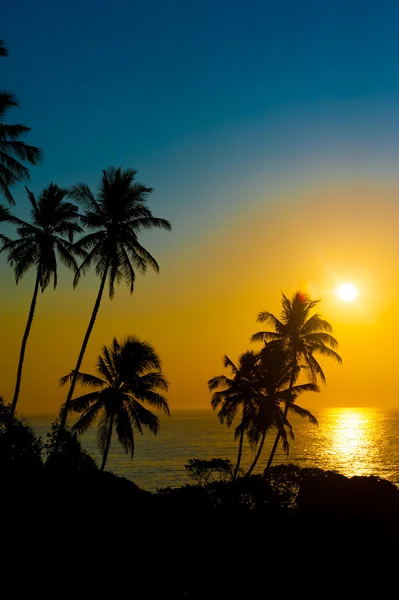 Hermoso atardecer tropical — Foto de Stock