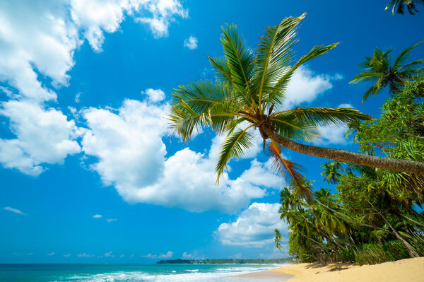 Тропический пляж