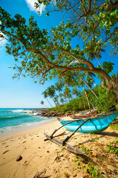 Spiaggia tropicale incontaminata — Foto Stock