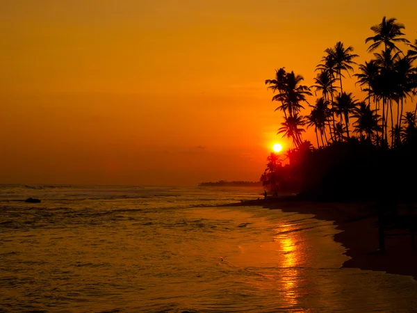 Beautiful tropical sunset — Stock Photo, Image