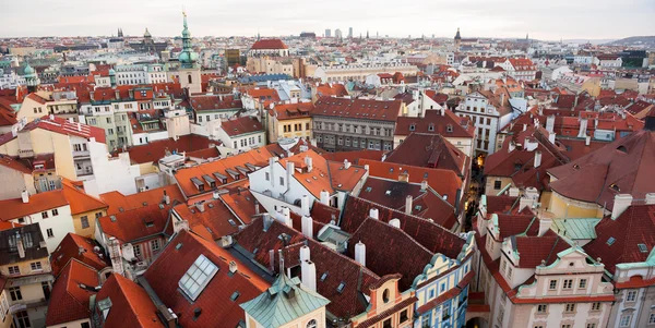 Prague roofs — Stock Photo, Image