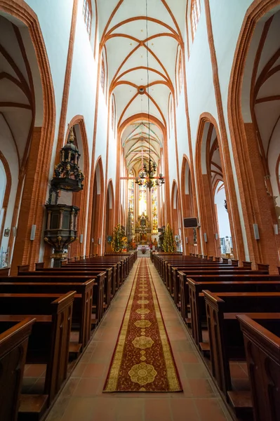 Kilise St. elisabeth iç — Stok fotoğraf