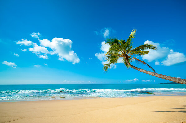 Тропический пляж