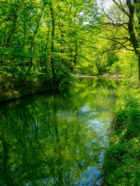 Bergsflod — Stockfoto