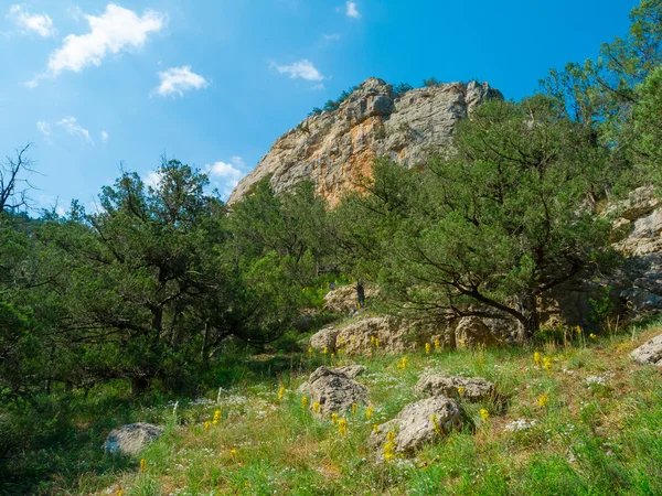 Summer mountain landscape in Crimea — Stock Photo, Image