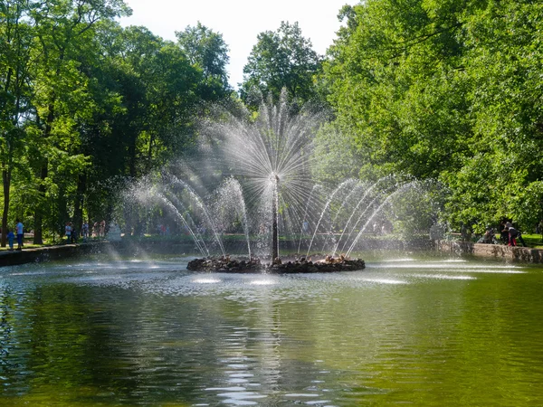 Fuentes de Petergof —  Fotos de Stock