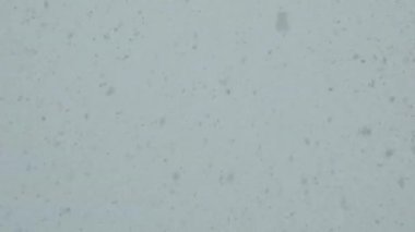 Ağaçların dallarına kar yağıyor.