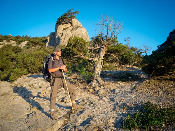 徒步旅行的男登山者 — 图库照片