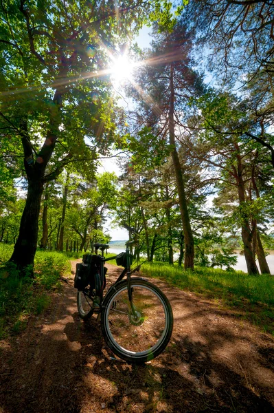 Дорожный велосипед на сельской дороге в лесу — стоковое фото