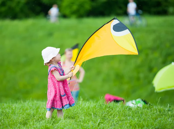 Kite festival — Stock Photo, Image