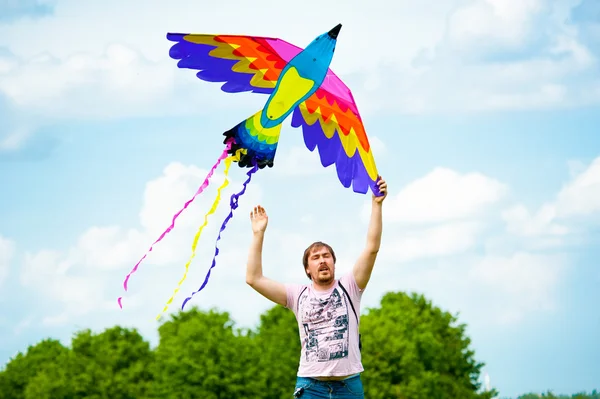 Kite festival — Stockfoto