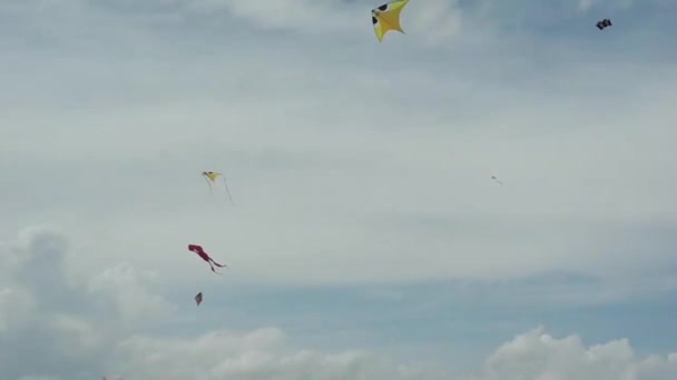 Kite festival — Stockvideo