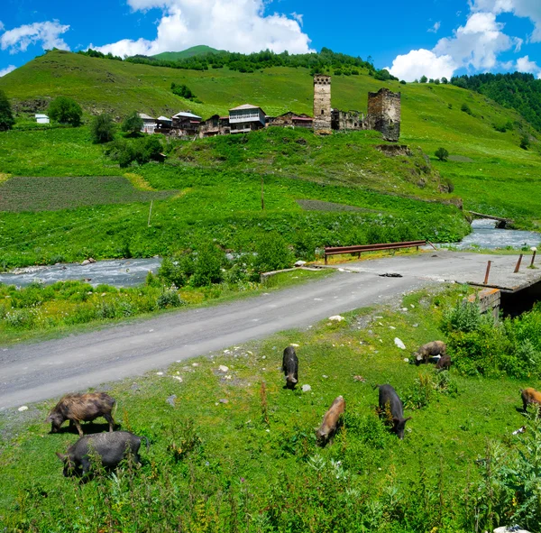 Paisaje rural en Davberi —  Fotos de Stock