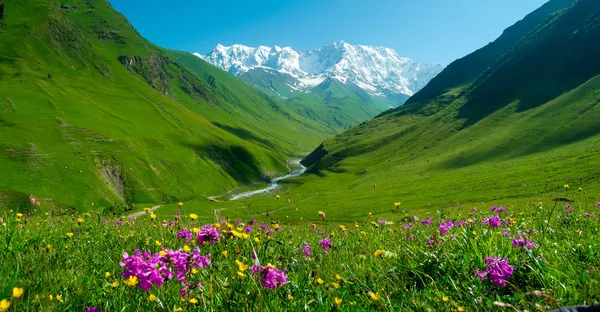 Vallée de la rivière Enguri près d'Ushguli, Géorgie — Photo