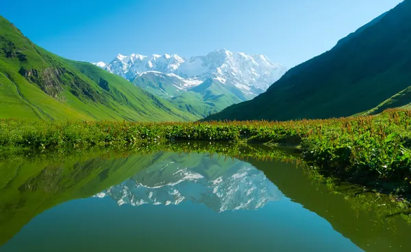 ushguli, Gürcistan yakınındaki dağ gölü.