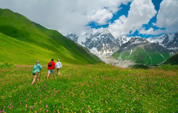 Mladí turisté v svaneti trekking — Stock fotografie