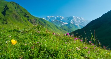 ushguli, svaneti, Gürcistan yakınındaki güzel çayır peyzaj.