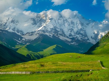 ushguli, svaneti, Gürcistan yakınındaki güzel çayır peyzaj.