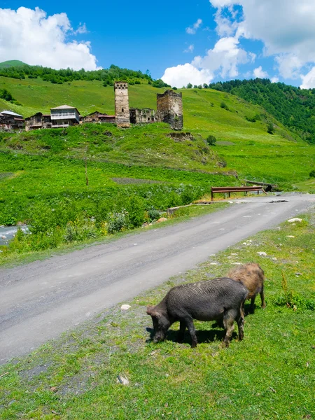 Country landscape in Davberi — Stock Photo, Image