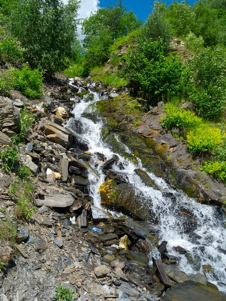 Mountain brook — Stockfoto
