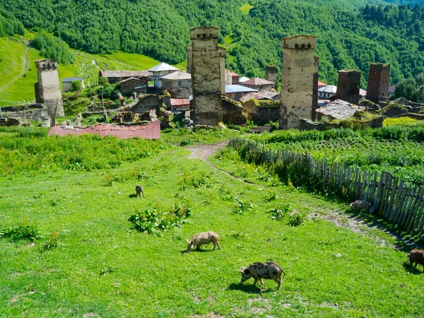 Paisaje rural en Svaneti —  Fotos de Stock