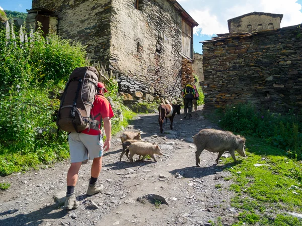 Hikers trekking in Svaneti — Stock Photo, Image