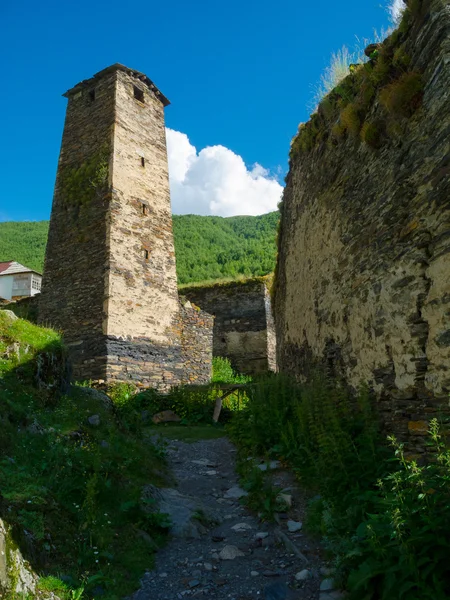 Paisaje rural en Svaneti — Foto de Stock
