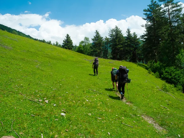 Jonge vrouwen wandeltochten in svaneti, — Stockfoto