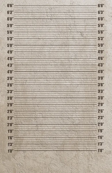 Polis sabıka fotoğrafı geçmişi