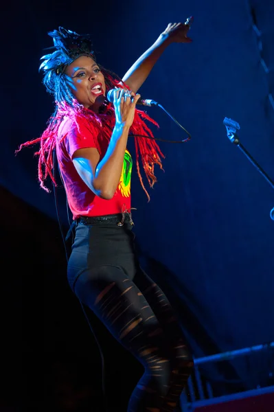 The Brand New Heavies group performs at Usadba Jazz Festival — Stock Photo, Image