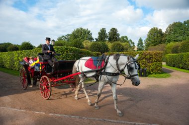 usadba caz festivali