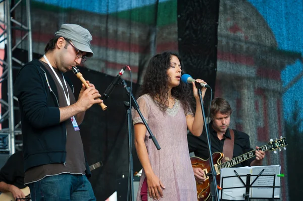 Otantik hafif orkestra usadba Caz Festivali'nde gerçekleştirir — Stok fotoğraf