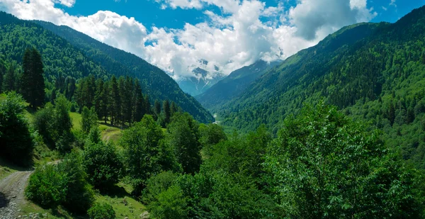 Svaneti, dağ manzarası — Stok fotoğraf
