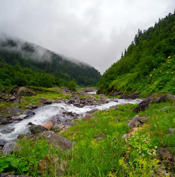 Paisaje del arroyo de montaña en Svaneti —  Fotos de Stock