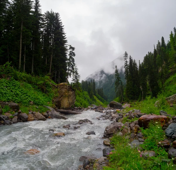 Paysage des ruisseaux de montagne à Svaneti — Photo