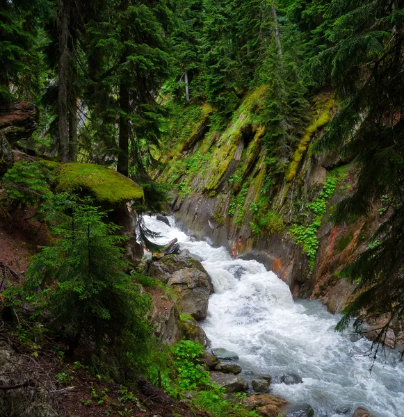 Mountain stream landscape in Svaneti — Stock Photo, Image