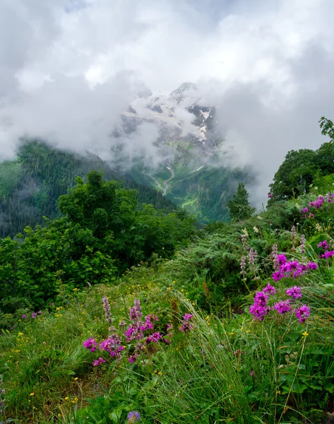 Гірський пейзаж з квітами на передньому плані — стокове фото