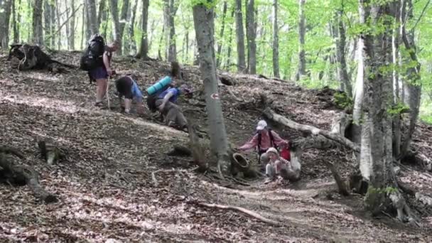 Trekking di gruppo escursionisti in Crimea — Video Stock