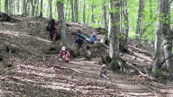 Vandrare grupp trekking i Krim — Stockvideo