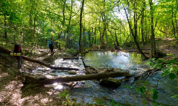 Hikers group trekking in Crimea