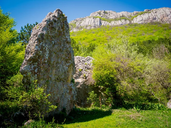 夏のクリミア自治共和国の山の風景 — ストック写真