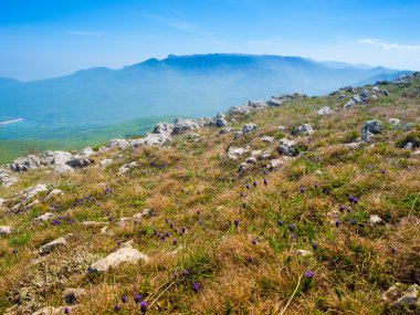 dağ manzarası Kırım yaz